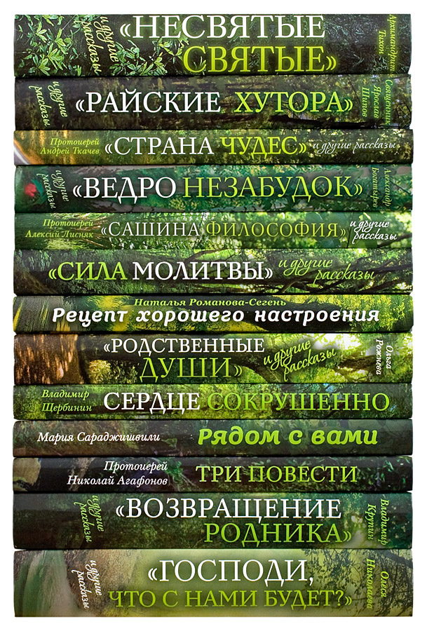 Правильник скачать fb2